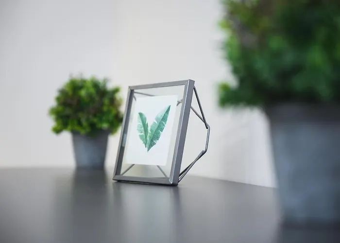 Dune2 Neptun Park Apartment *